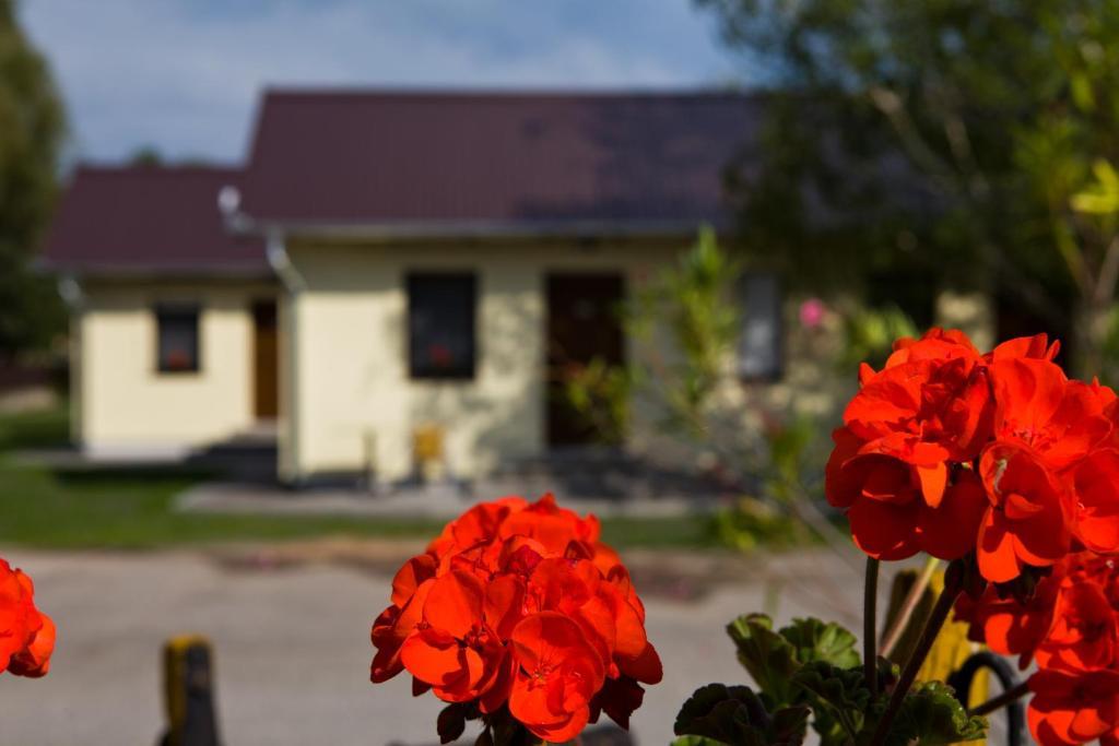 Готель Balaton Eldorado Camping Бадаксонітьордемік Екстер'єр фото